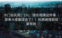 冷门但实用；17c；域名规律这件事 ｜ 原来大家都误会了！！别再被搜索结果带跑
