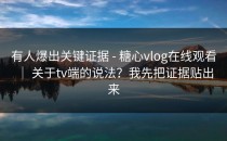 有人爆出关键证据 - 糖心vlog在线观看 ｜ 关于tv端的说法？我先把证据贴出来