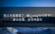 我以为我看错了 - 糖心vlog在线教学？建议收藏，省得再翻车