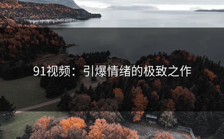 91视频：引爆情绪的极致之作  第1张